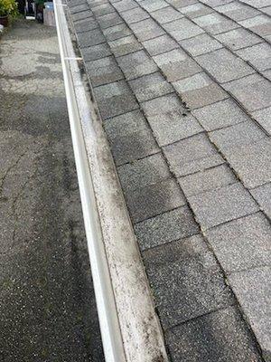 AFTER gutter cleaning