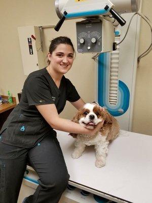 Dr. Stephanie LaGrone with Louie at Custer McDermott Animal Hospital in Plano, Texas