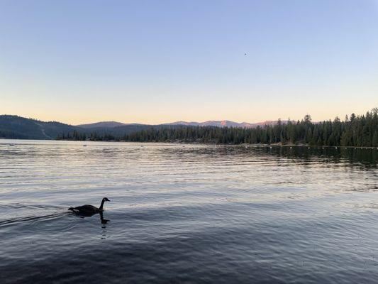 Fashoda Campground