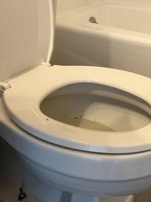 This is after they clean the apartment how the toilet looked when I moved in