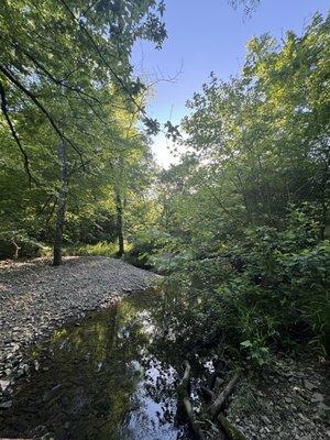 Creek next to cabin