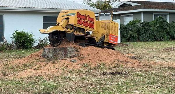 Stump Removals