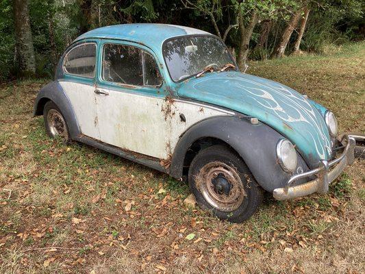 1965 VW Beetle selling Oct 22