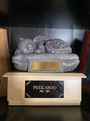 Peekaboo's ashes