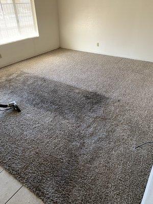 DCT Carpet Cleaning