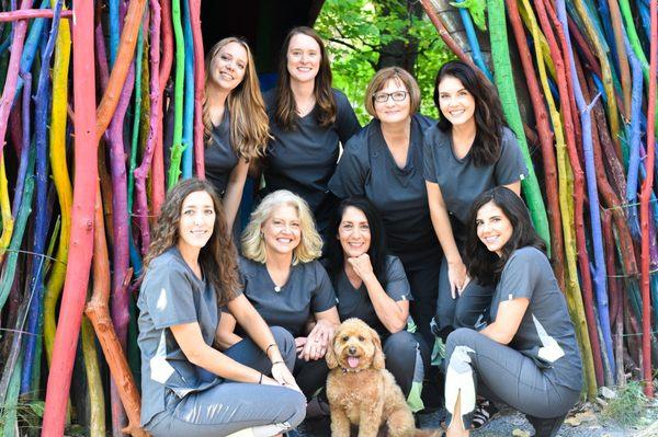 Tammy Perison DDS Family & Cosmetic Dental Care