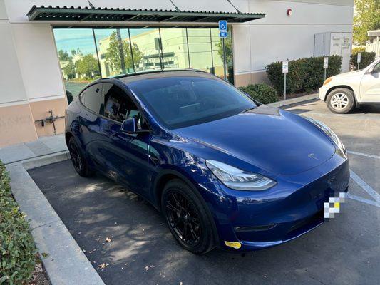 Tinted Model Y