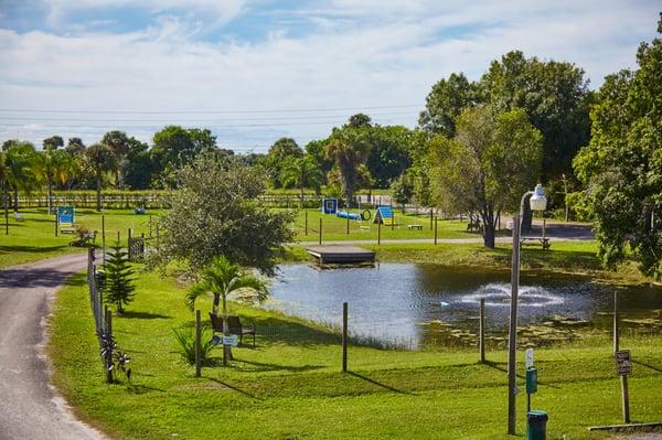 Open spaces for dogs to play and swim.