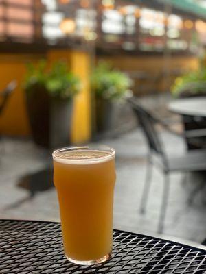 Hazy juicy IPA