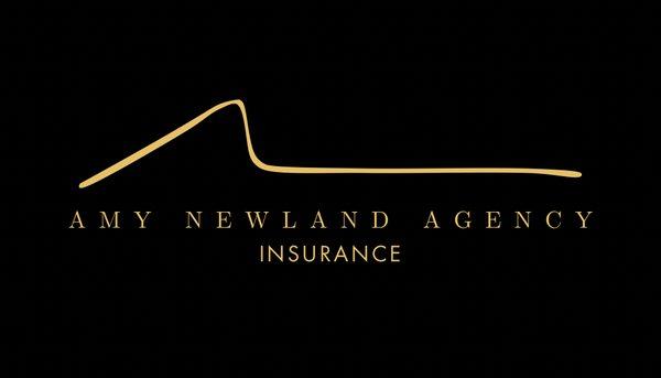 American Family Insurance-Amy Newland