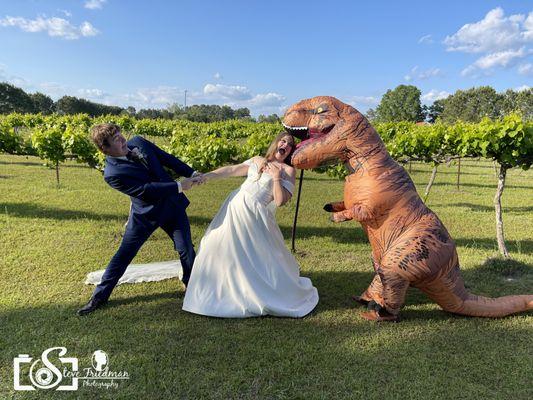 Unplanned Wedding photo, Who says Dinosaurs can't have fun!