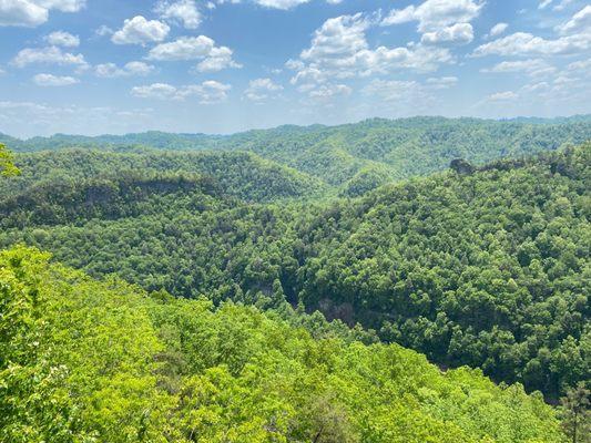 Can't miss on the lookouts. Way down there is a tunnel and the tower.