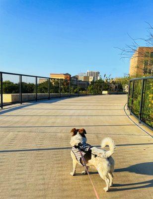 Waterloo Greenway ~ Austin Texas