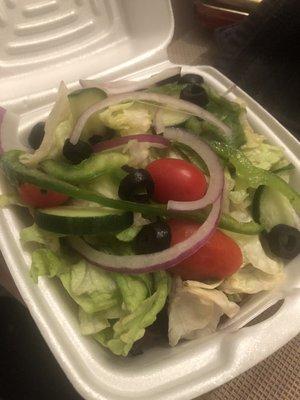 Side salad with no onions but instead covered in raw onions.