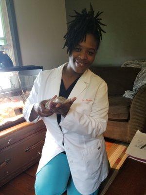 Dr. Croom helps with bearded dragons and other reptiles