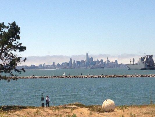 San Francisco Skyline