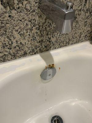 Rusty dirty tub with leaking faucet