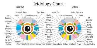 We offer iridology analysis.