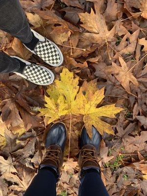 Beautiful fall foliage at this lake/trail