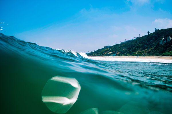 Surf With Joey