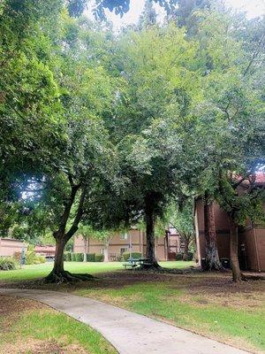 Like a nice peaceful walk in the park any day. The grounds are so well kept with weekly landscapers.