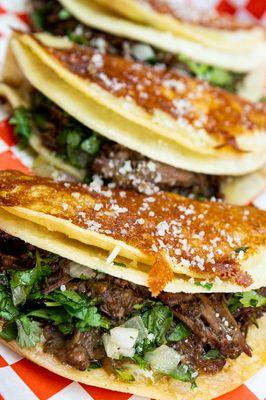 Oxtail Birria Taco