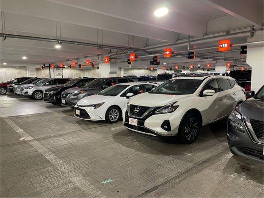 Budget cars at the Chicago O'Hare International Airport rental car location.  I got the crappy little white Toyota Corolla.