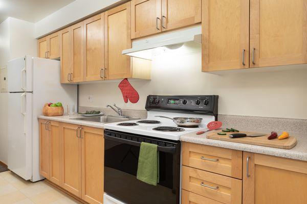 Modern Kitchen with Electric Stove and Range