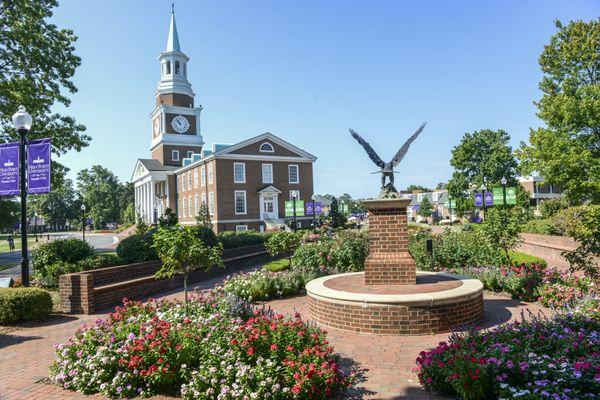 High Point University