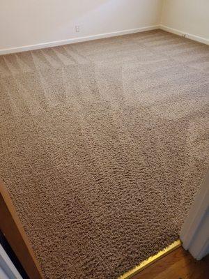 Bedroom carpet looks almost new now.