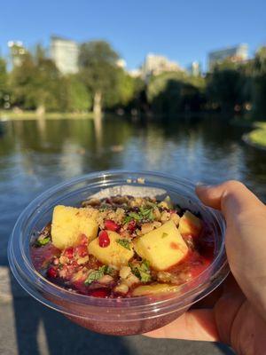 honey mango açaí bowl to-go