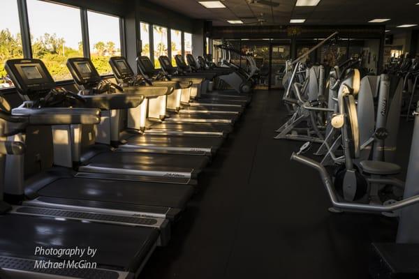 Cardio line: treadmills and stair climbers + Hoist equipment circuit