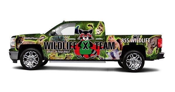 Wildlife X Team Houston