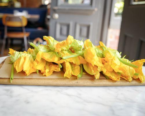 Zucchini Blossoms!!!