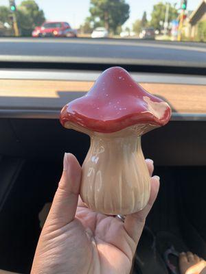 Mushroom $10