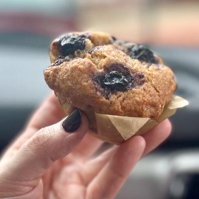 Blueberry muffin