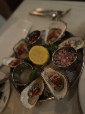 Oysters