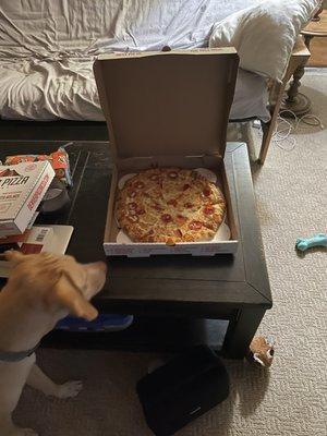 VALKYRIE THINKS THE PIZZA SMELLS GOOD TOO.