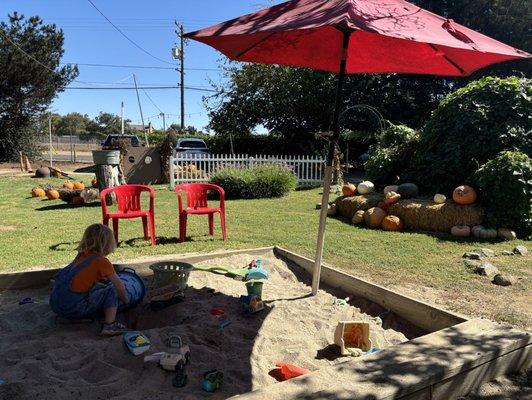 Kids play area. The sand box is a hit!