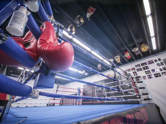 Boxing ring at West 13th Genesis