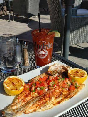 Branzino with Brazilian Pico de Gallo and michelada