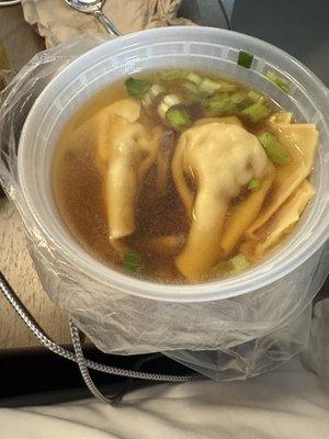 Wonton Soup