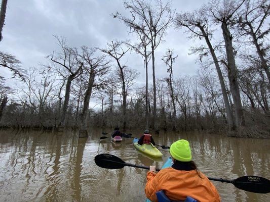 Kayaking through the swamp!