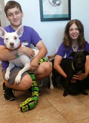 We work with several local rescues including Bastrop Animal Rescue. We love our rescue partners!