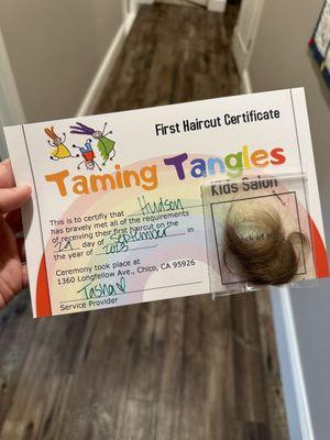 Taming Tangles Kids Salon