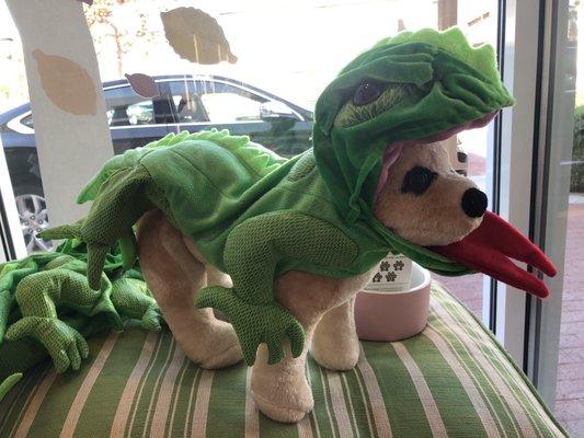 Cute doggie costume