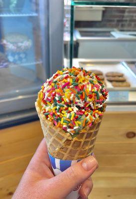 Mint chocolate chip with rainbow sprinkles