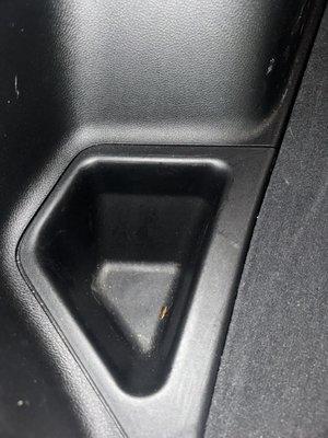 Cockroach in cup holder