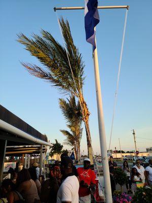 Palm trees at Bracco's on the Freeport Nautical Mile