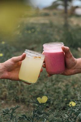 Lemonade and Hawaiian Tropic Smoothies